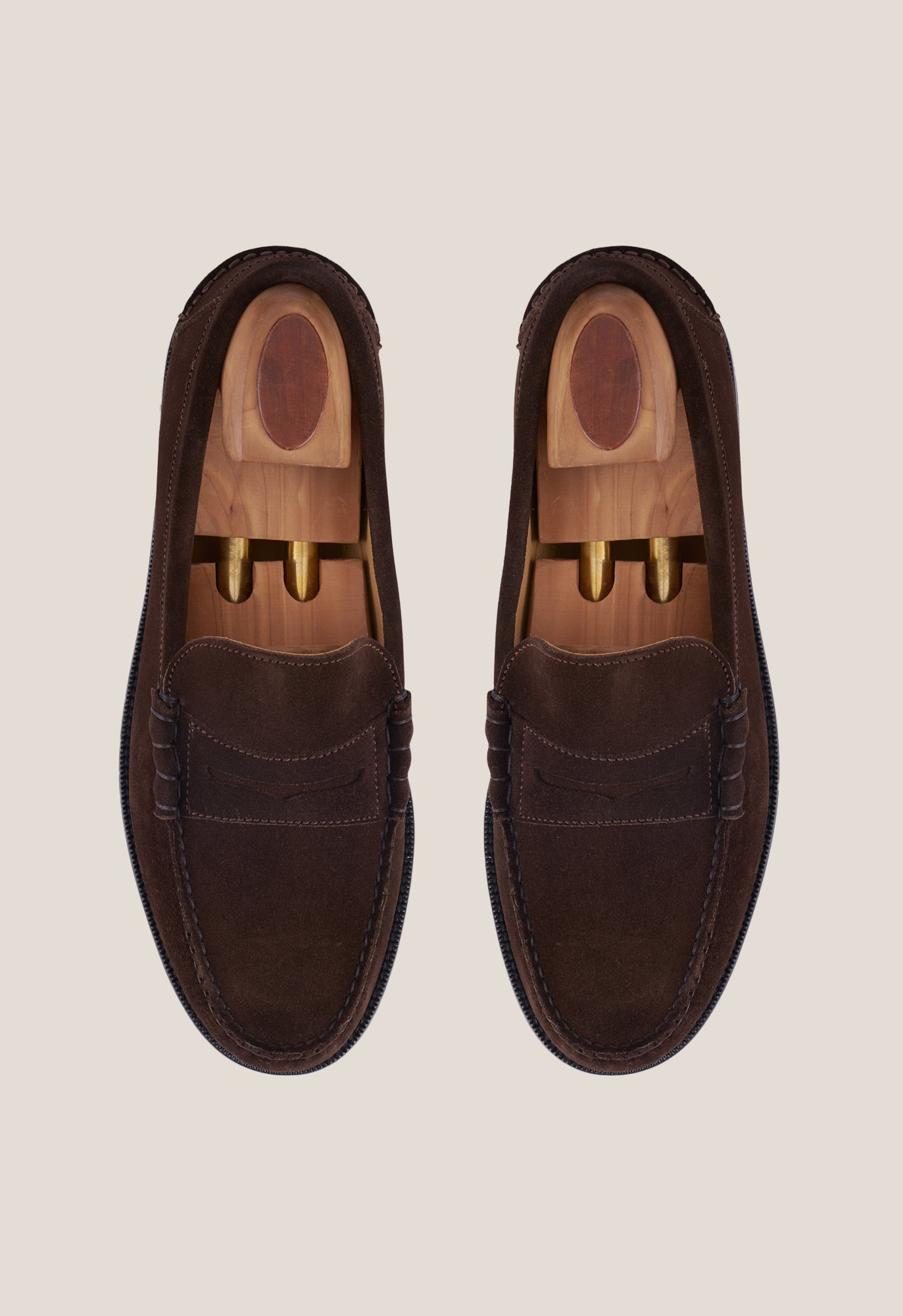 Chocolate Suede Lion