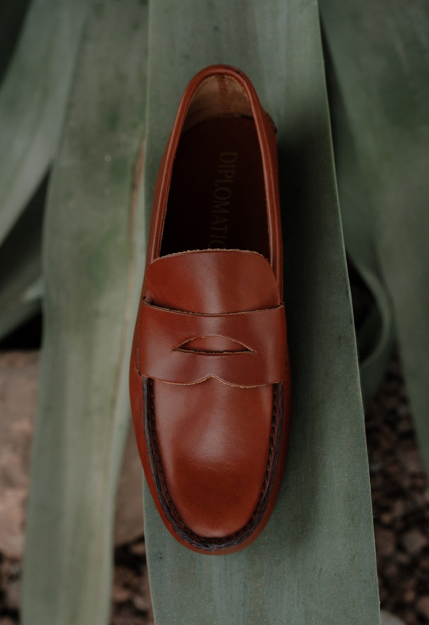 Velasca Calfskin Sienna