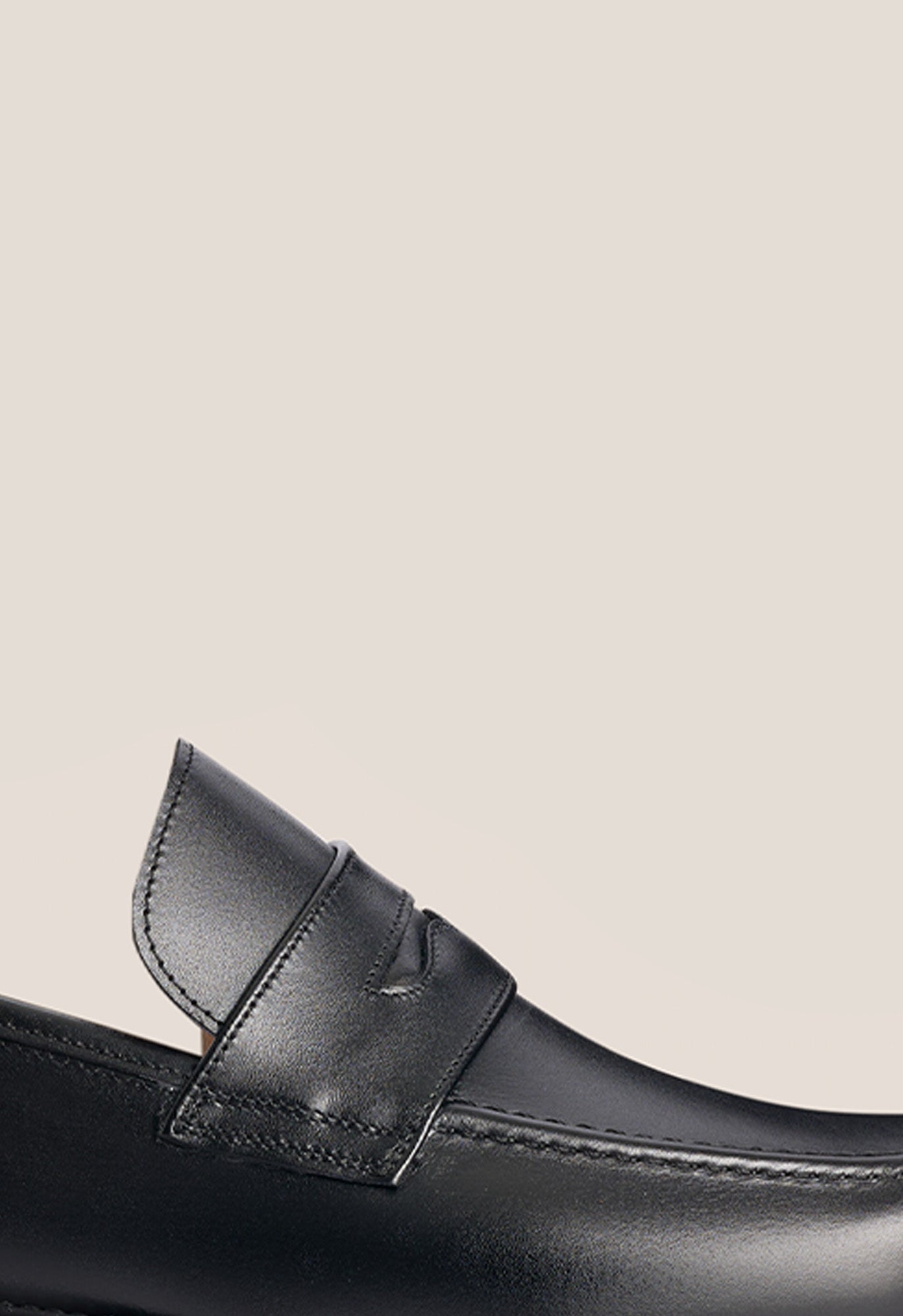 Olmedo Becerro Negro