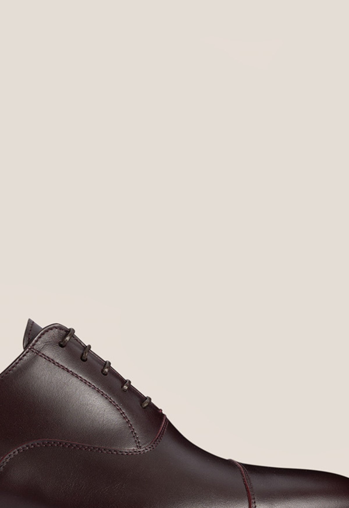 Doñana Becerro Burdeos